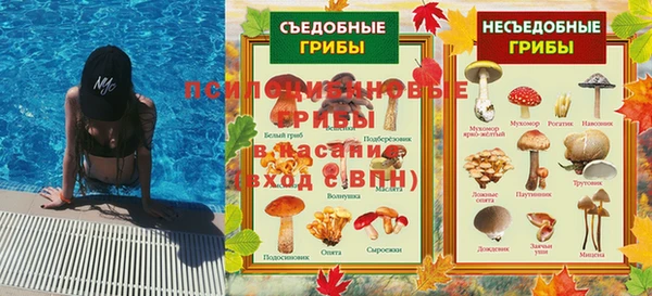 МДПВ Лагань