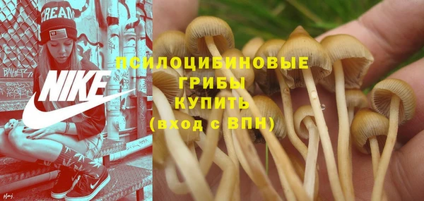 МДПВ Лагань