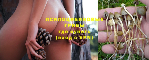 МДПВ Лагань