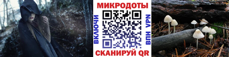 Псилоцибиновые грибы MAGIC MUSHROOMS  Купить закладки  Светогорск 